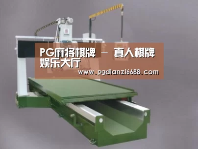 产品名称九