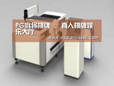 产品名称十三